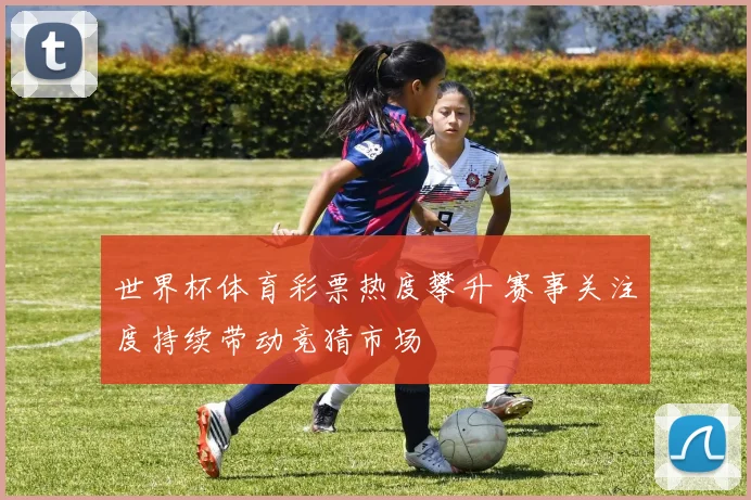 世界杯体育彩票热度攀升 赛事关注度持续带动竞猜市场