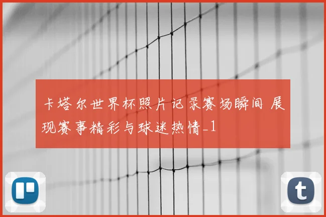 卡塔尔世界杯照片记录赛场瞬间 展现赛事精彩与球迷热情_1