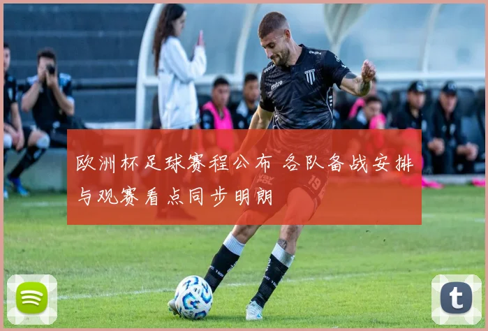 欧洲杯足球赛程公布 各队备战安排与观赛看点同步明朗