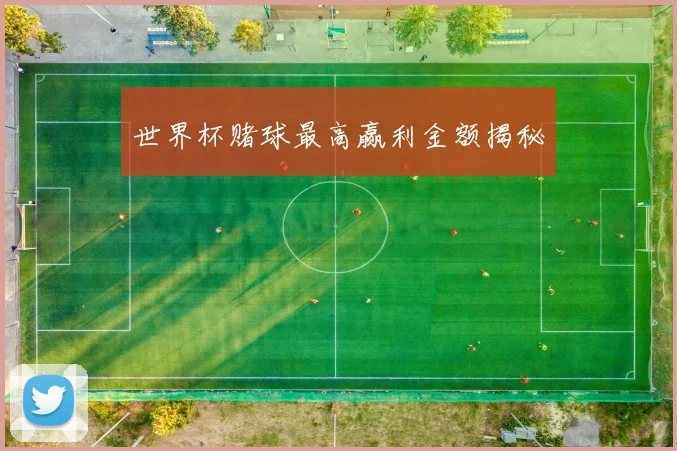 世界杯赌球最高赢利金额揭秘