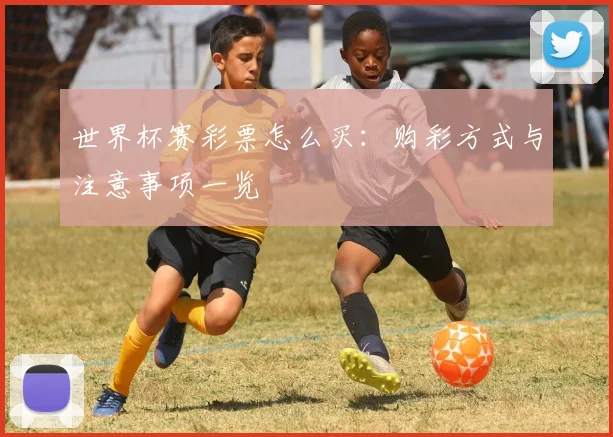 世界杯赛彩票怎么买：购彩方式与注意事项一览