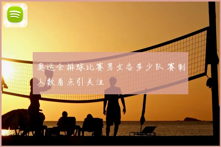 奥运会排球比赛男女各多少队 赛制人数看点引关注