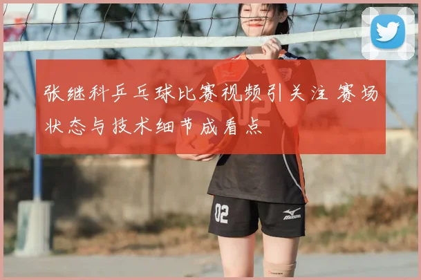张继科乒乓球比赛视频引关注 赛场状态与技术细节成看点