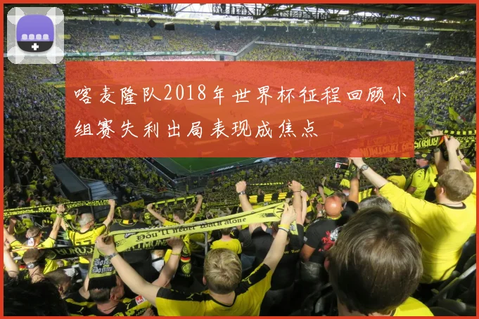 喀麦隆队2018年世界杯征程回顾小组赛失利出局表现成焦点