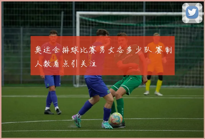 奥运会排球比赛男女各多少队 赛制人数看点引关注