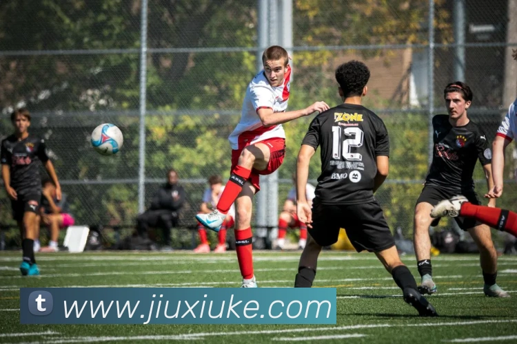 乐球直播app官方下载安卓版9.6版本平台生态图